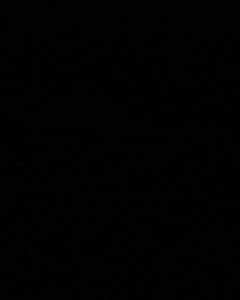 Untitled (500 x 100 px) (1).gif